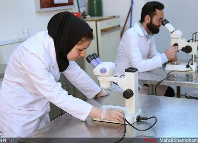کرونا با فناوری ایران ساخت شکست می خورد ، محصولی ضدکرونایی از فعالان زیست بوم نوآوری