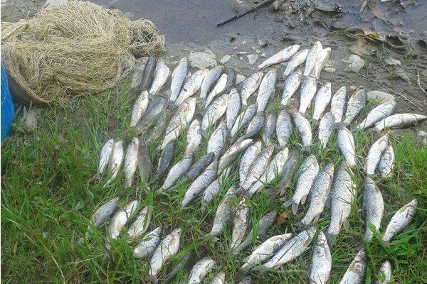 دستگیری عاملان صید ماهی با برق در شوشتر