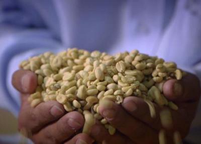 زندگی در پرو؛ تجارت منصفانه قهوه و کاکائو