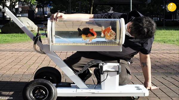 یک اختراع برای گشت و گذار با ماهی ها در خیابان!