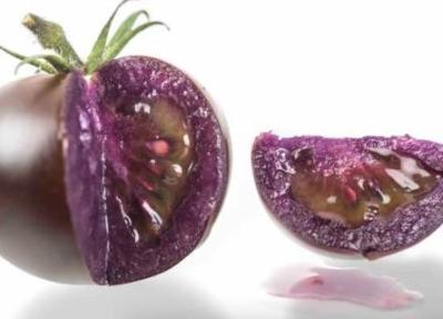 فراوری گوجه فرنگی ارغوانی اصلاح شده ژنتیکی شده در آمریکا تایید شد