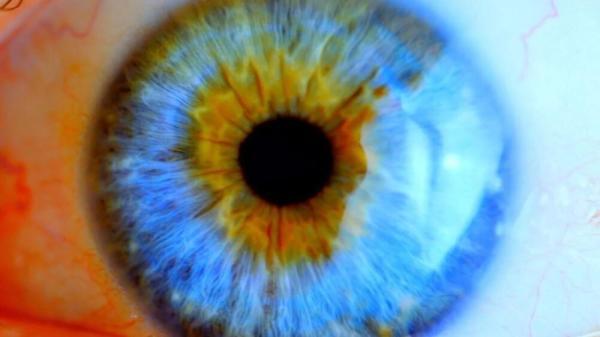 درمان نابینایی با یاری مینی چشم های آزمایشگاهی